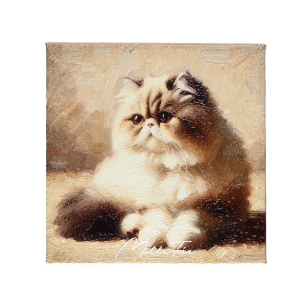 [}C]~tB[ }CLeBACpbg 01 GL]`bNV[gwA/fC[vUiDAILY PLAZAj