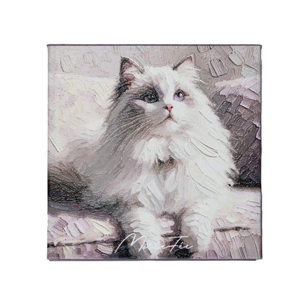 [}C]~tB[ }CLeBACpbg 02 Oh[/fC[vUiDAILY PLAZAj