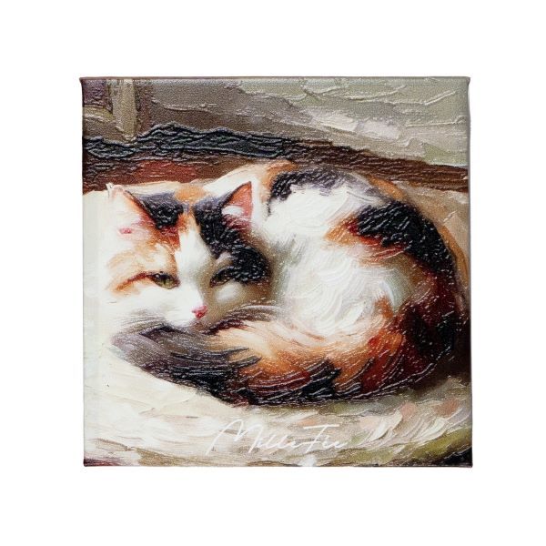 [}C]~tB[ }CLeBACpbg 03 OєL/fC[vUiDAILY PLAZAj