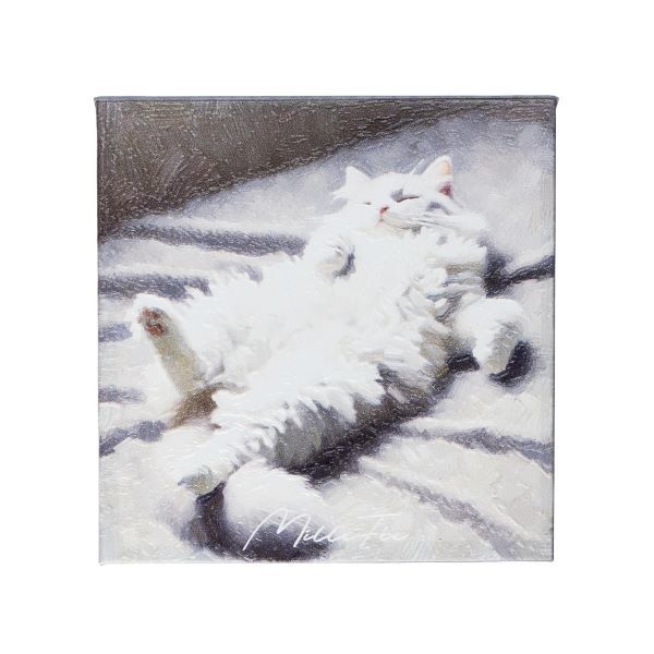 [}C]~tB[ }CLeBACpbg 04 ~kGbg/fC[vUiDAILY PLAZAj