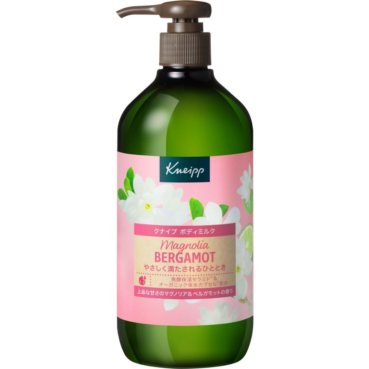 [}C]yizNiCv {fB~N }OmAxKbg̍430g/fC[vUiDAILY PLAZAj