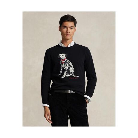 ダルメシアン インターシャニット カシミヤ セーター | ポロ ラルフ  