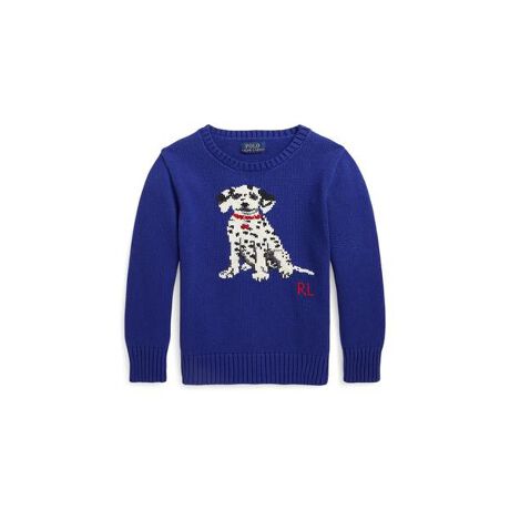 ボーイズ 4才～7才)ダルメシアン インターシャニット セーター | ポロ  