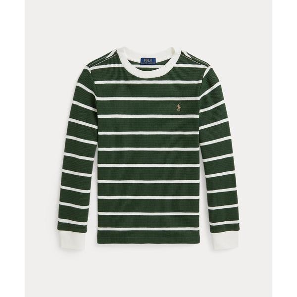 ボーイズ 8才～20才)ダルメシアン インターシャニット セーター | ポロ