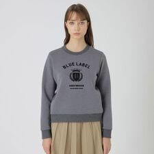 カレッジロゴプルオーバー