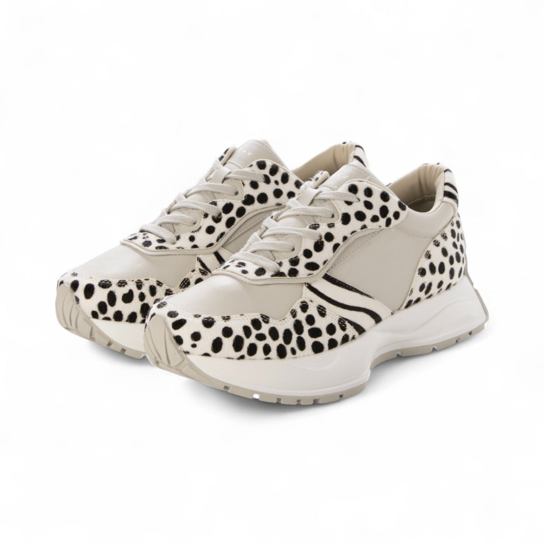 [}C]y2025H~VzAj}Xj[J[/ Alnair/V[_iLucidaj NDAL