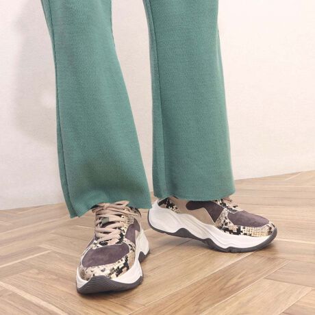 Canopus アニマルダッドスニーカー | ルシーダ(Lucida) | マルイウェブ  