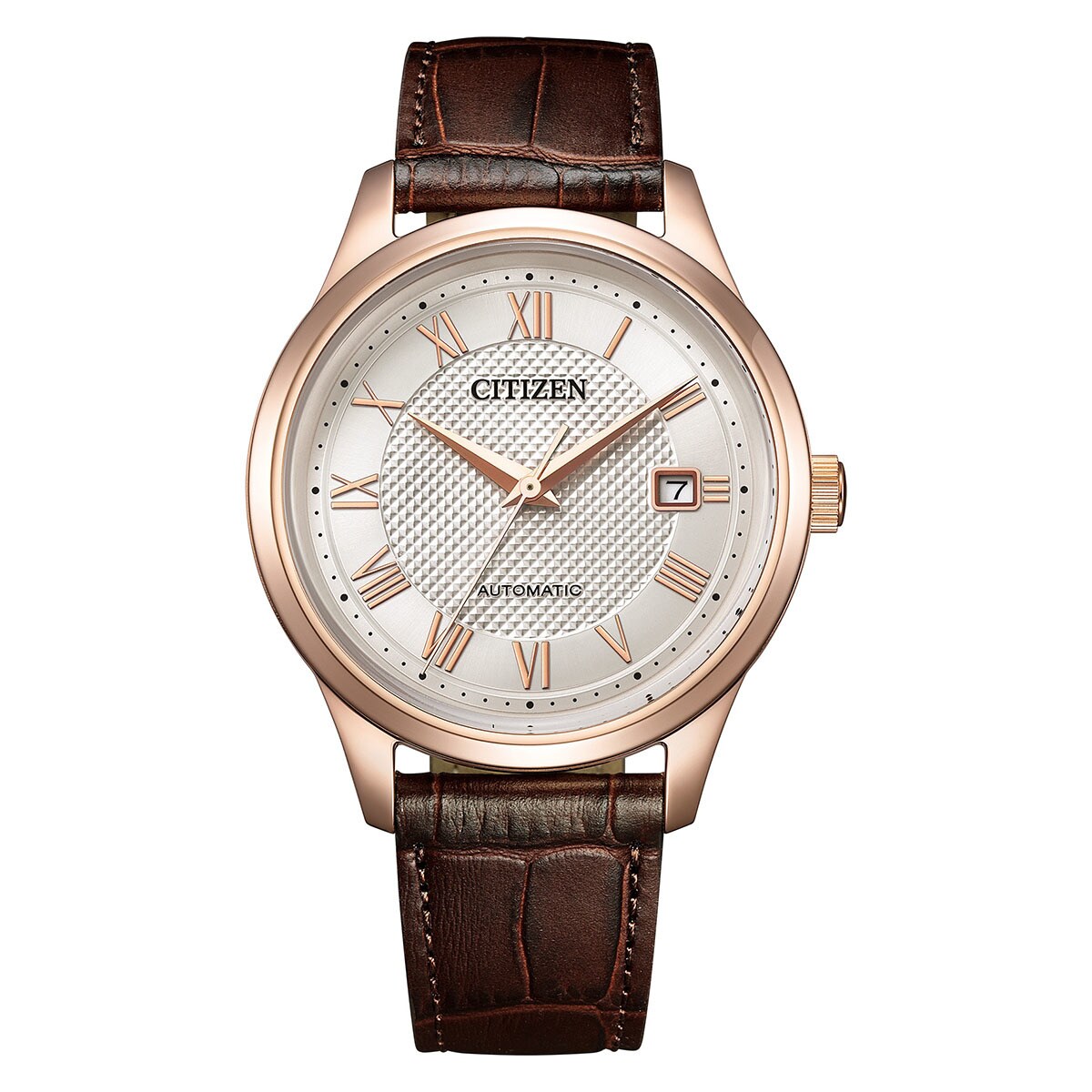 [�}���C]�V�`�Y���R���N�V���� ���J�j�J�� NJ0252-05A/�V�`�Y���iCITIZEN�j