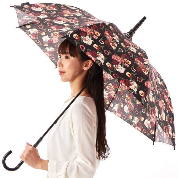 アナ スイ(ANNA SUI) レディース 傘・レイングッズ の一覧
