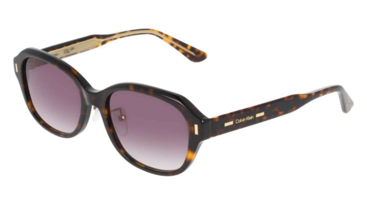 サングラス カルバンクラインサングラス」の人気商品一覧 | 安い商品を