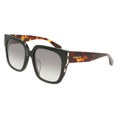 [^:SF1113SLB]ԂȃXNGAX^CڂTOXBTChɂ^p[cGKgȈۂo܂B