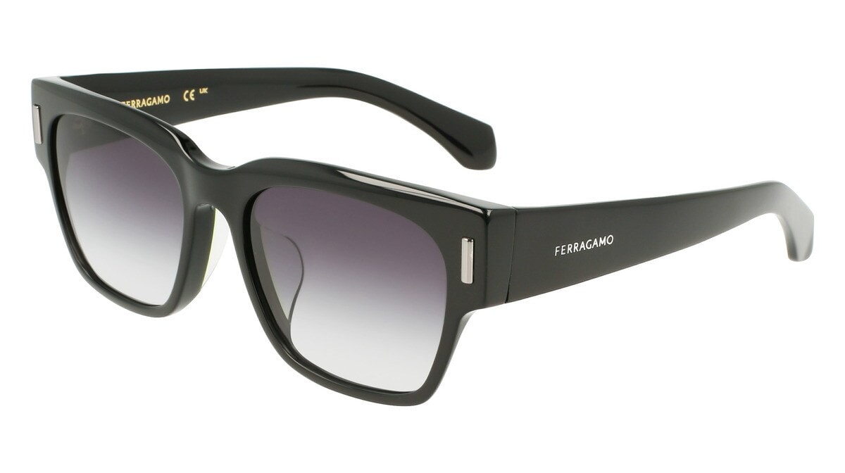 新品未使用タグ付　フェラガモ　サングラス　SF1114SLB240 フェラガモ サングラスSF1114SLB | フェラガモ(Ferragamo