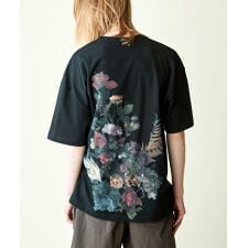 rehacer : Botanical Garden Wide CS