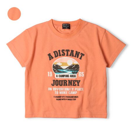 [^:V34818]Śy{zŃMtgv[gɂIXXI肵_炩G̖100ARbg100̓VfށBSƃAEghA`[t̃vg̔TVcBvg̈ꕔ͂ՂƂCvgɂȂĂ̂|CgIixr[TCŶ݌{^dlɂȂ܂BjfUC̃XN[TCYi140150160cm)V34819ɂȂ܂ByACezgbvX  JWA  IV  킢  i fC[EFA o  O OVђ qǂ ǂ  j j̎q {[CY LbY xr[TCY gh[TCY ct ۈ牀 wZ ʉ ʊw w 2025NtĕV ۍߗ@IW made in Japan@ChCWp Y@_fBI_fB@