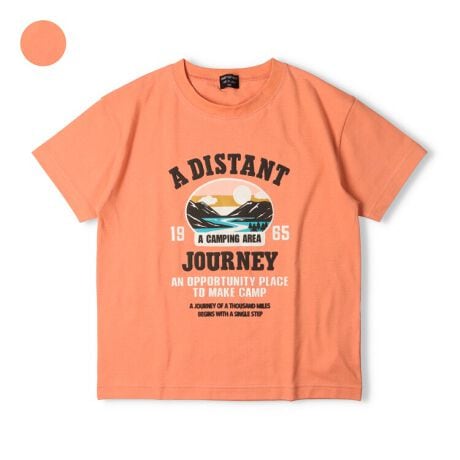 [^:V34819]Śy{zŃMtgv[gɂIXXI肵_炩G̖100ARbg100̓VfށBSƃAEghA`[t̃vg̔TVcBvg̈ꕔ͂ՂƂCvgɂȂĂ̂|CgIfUC̃xr[Agh[TCYV34818ɂȂ܂ByACezgbvX  JWA  IV  킢  i fC[EFA o  O OVђ qǂ ǂ  j j̎q {[CY LbY WjATCY XN[TCY wZ@w@Z wZ ʉ ʊw w 2025NtĕV ۍߗ@IW made in Japan@ChCWp Y@_fBI_fB@