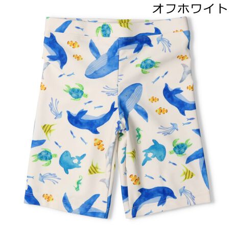 [^:B35811]ʃ^b`̒FꂢȉĂ炵C̒ԁAC̐̐łBXC~OAv[ACAVсAĂɑ劈̐AXCEFABCpcAXCpcAT[tpcB\nUVJbgHngĂ܂ByACezG JWA  IV  킢  i fC[EFA o qǂ ǂ j j̎q {[CY LbY xr[TCY gh[TCY ct ۈ牀 wZ w s 2025NĕV ۍߗ ItzCg@F@u[@F@CJ@邩@NW@@E~K@炰@NQ@LbYtH[