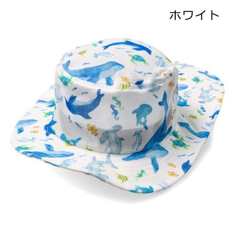 [^:B35814]v[CAVтɍœKȓ悯tbVnbgAXqBpnbgłIXgb`fނŒEɂAOΕUVJbgAbVȂ̂ŒʋCǂA͐ڐG⊴fށAlbggpŉƒOKłBC̐AԕAMK`FbN{AЂ܂蕿̂SłByACezG JWA  IV  킢  i fC[EFA o qǂ ǂ j j̎q {[CY LbY xr[TCY gh[TCY ct ۈ牀 wZ ʉ ʊw w  s 2025NtĕV ۍߗ @@̎q@K[Y@LbYtH[@@q}@ڂ@hԁ@@@Hԗ@~LT[ԁ@CJ@@NW@^cmIgVS@T@߁@NQ@炰