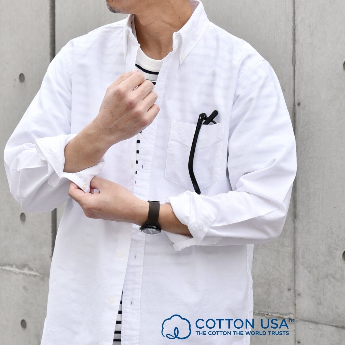 SHIPS any: COTTON USA ワンポイント ロゴ 刺繍 オックス ボタンダウン 