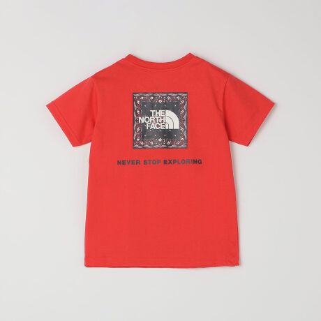 [^ԁF732300020]o_iC[WvǵAUVJbg@\tTVcyfޓzTCN|GXeƕ̗ǂRbgajbgfނgpBUVPAiUPF15-30AOJbg85ȏj@\tȂ̂|CgByfUCzo_iC[WñXNGASwʂɔzuTVcBx[VbNȃzCgƃlCr[ɉAR[f̃ANZgɂȂ郌bh̑S3FWJBẴAEghA⃌W[AfC[ɂ􂷂֗ȃACełB[J[i:NTJ32546yӎzipׂɁAAeV^OEl[KmF̏Ap͂舵BBeɂ̓p\REX}[gtHȂǂ̉{ɂāAۂ̐FƈقȂČꍇ܂B@i̐F͏iP̂ŎBe摜QƂB