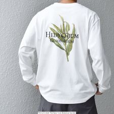 【SHIPS any別注】NYBG: ボタニカル プリント リラックス Tシャツ (ロンT)◇