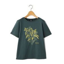 【Lサイズ】４０／２天竺カットソー