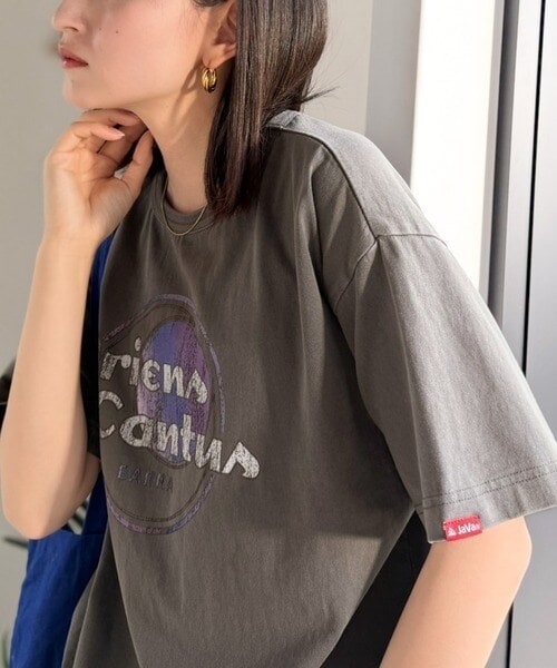 [�}���C]�sJaVa�W���o�R���{�t�V�тƗ]�T���B�R�b�g��100���R���p�N�g�O���t�B�b�N���STEE�i�����j/�N���V�J���G���t�iClassical Elf�j �T�[�N���p�[�v��