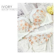 IBT370｜アンテシュクレ 毎日フィットブラ ブラセット B-F/65-75cm