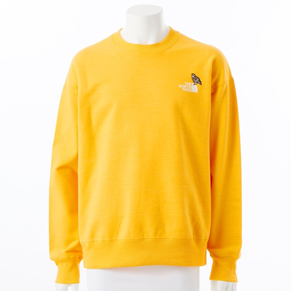 [}C]yUEm[XEtFCXzY[sbJ[N[/UEm[XEtFCXiTHE NORTH FACEj T~bgS[h