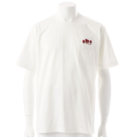 [^:NT82538]n̂xl߃Rbg̕ƁA˔fނgpTVcBRbg100%̓VRfނłȂAw@ۂɋ߂Ă܂BĂ₷AC[W[PA͂łBɃ|PbgzuB|Pbg̏ɁAZ~eɍ炭CfBAEyCguV̉ԂhJŕ\Ă܂B