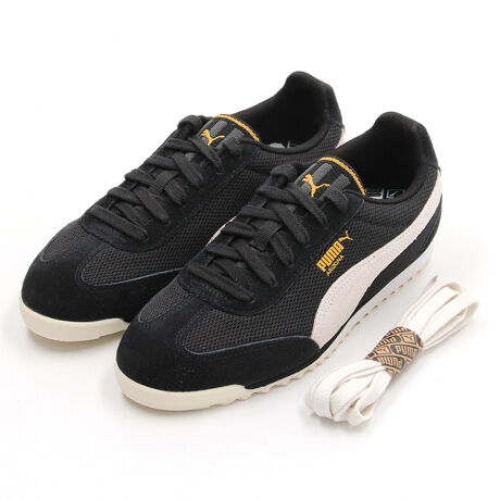 [^:403782]i A[JCuhA^CXȈꑫuA]ivB1970Ñv[}̖A[JCuCXpCAꂽA]íANVbNȃfUCƌIȉKZg[jOV[YBIȒZ߂̃gD{bNXX^CƁAyʂŃNbVɗDꂽEVA~bh\[ÂV[ŉKȗSn񋟂܂BdS݌vɂ芴AX|[cJWA܂ŕLBɁA[bpqoXPbg{[[On݂LOʃfƂāAX|[c̗jƏM𑫌ɊꑫłBڍׁEFM[tBbgEܐ̃^CvFEhgDEt@Xi[FV[[XEAbp[̎ȑfށFbVEq[^CvFtbgq[EnFeLX^CEAEg\[FSE[bpqoXPbg{[[On݋LOi