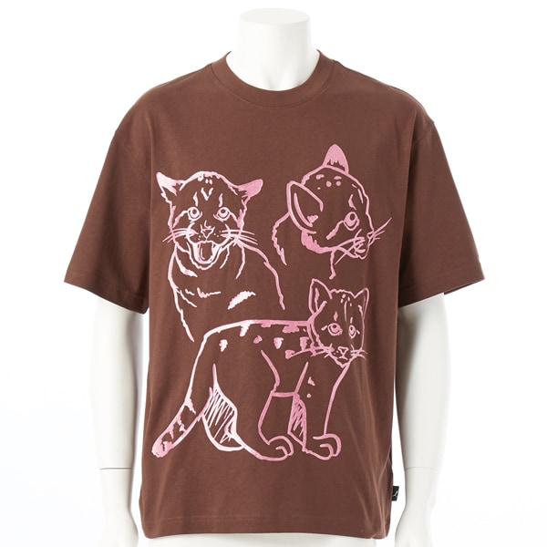 [}C]PUMA/v[}/GRAPHIC ITTY BITTY TEE/v[}iPUMAj 65 ESPRESSO BROW