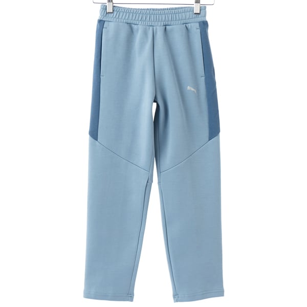 [}C]PUMA/v[}/EVOSTRIPE PT DK B/v[}iPUMAj 34 COOL BLUE