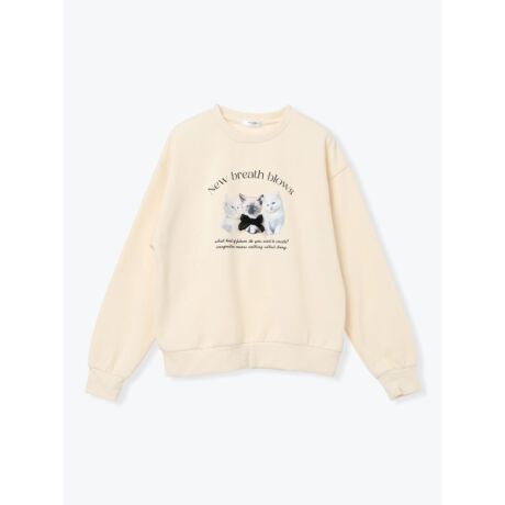 [^ԁF25560768955]tg̃lRvgɃp[r[Yƃ{A炵NуgbvXBӂ_炩ȒSnŁAJWAȂiȈۂo܂BfjŃfC[ɁAXJ[gŃK[[ɂƕLBH~̃bNXR[fɂ҂̃ACełB