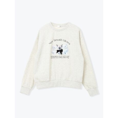 [^ԁF25560768955]tg̃lRvgɃp[r[Yƃ{A炵NуgbvXBӂ_炩ȒSnŁAJWAȂiȈۂo܂BfjŃfC[ɁAXJ[gŃK[[ɂƕLBH~̃bNXR[fɂ҂̃ACełB