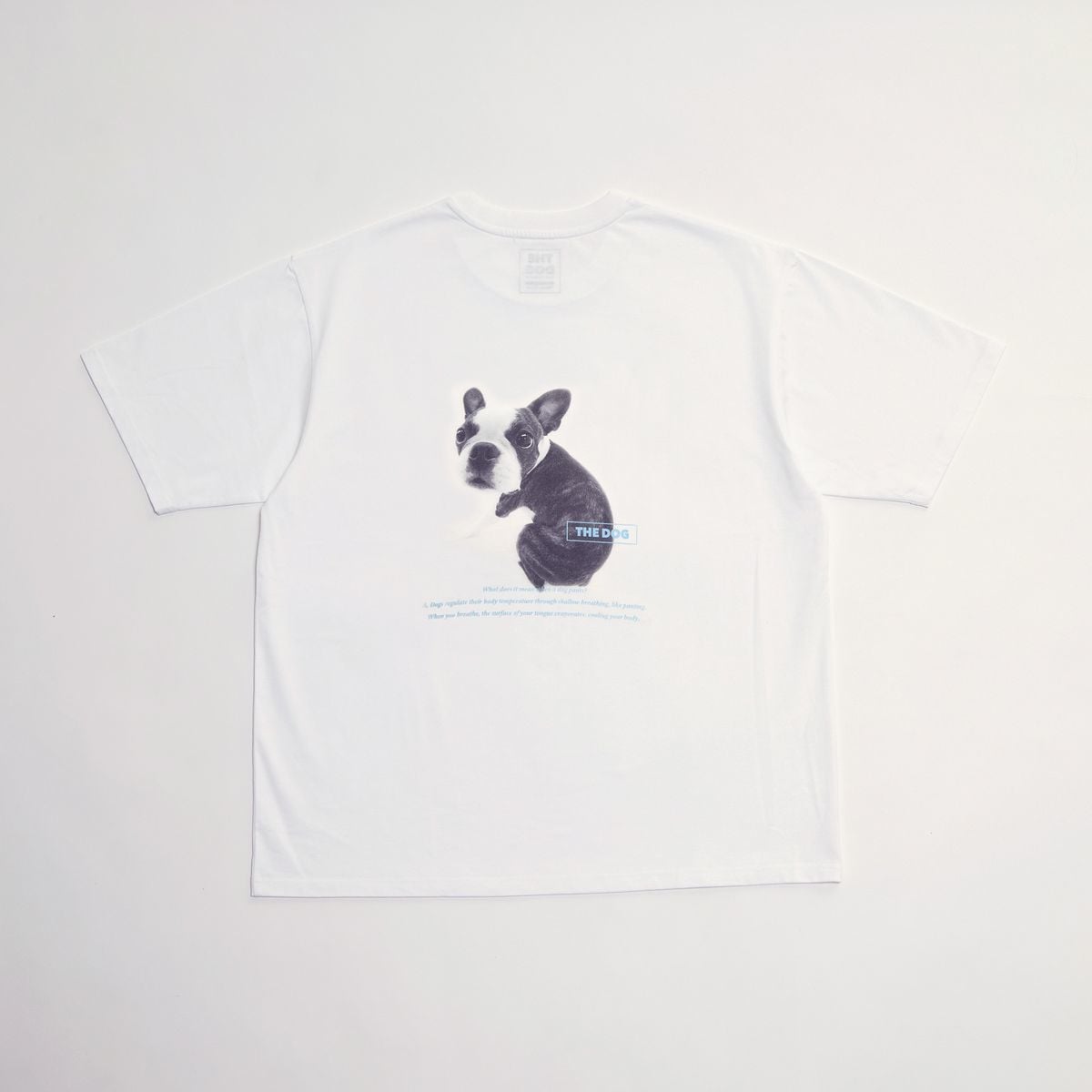 [}C]sʒtyMASTER FRAME/}X^[t[zTHE DOG AND FRIENDS TV/Y[YiMEN'S MELROSEj 01zCgA