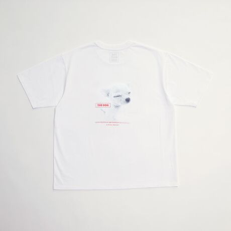 [^:A0459UTS087]"<fUC̓>炵u THE DOG & FRIENDS ṽtHgOtgpTVcłBtg̓|CghJBwʂ̓CNWFbgŕ\mNDOG&CATłB<fނɂ>xl߂ŖщH̏Ȃ▭ȓVfނ`CXĂ܂Bxl߂̃n͔̗ǂɂȂAKx݂̌h~Ă܂BщHȂ̓hC^b`ɎdオAôŏ㎿𐶂ݏo܂BvgȂłfTVc{fBƂđI肵Ă܂B<TCYɂ>bNX̂TCYłBgɑ΂Ď኱ZĂ̂ŁA傫{fBƈႢ炵ȂȂXbLp\łB<TCY\L>1XSA2SA3MA4L"