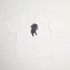 《別注》【MASTER FRAME/マスターフレーム】THE DOG AND FRIENDS Tシャ