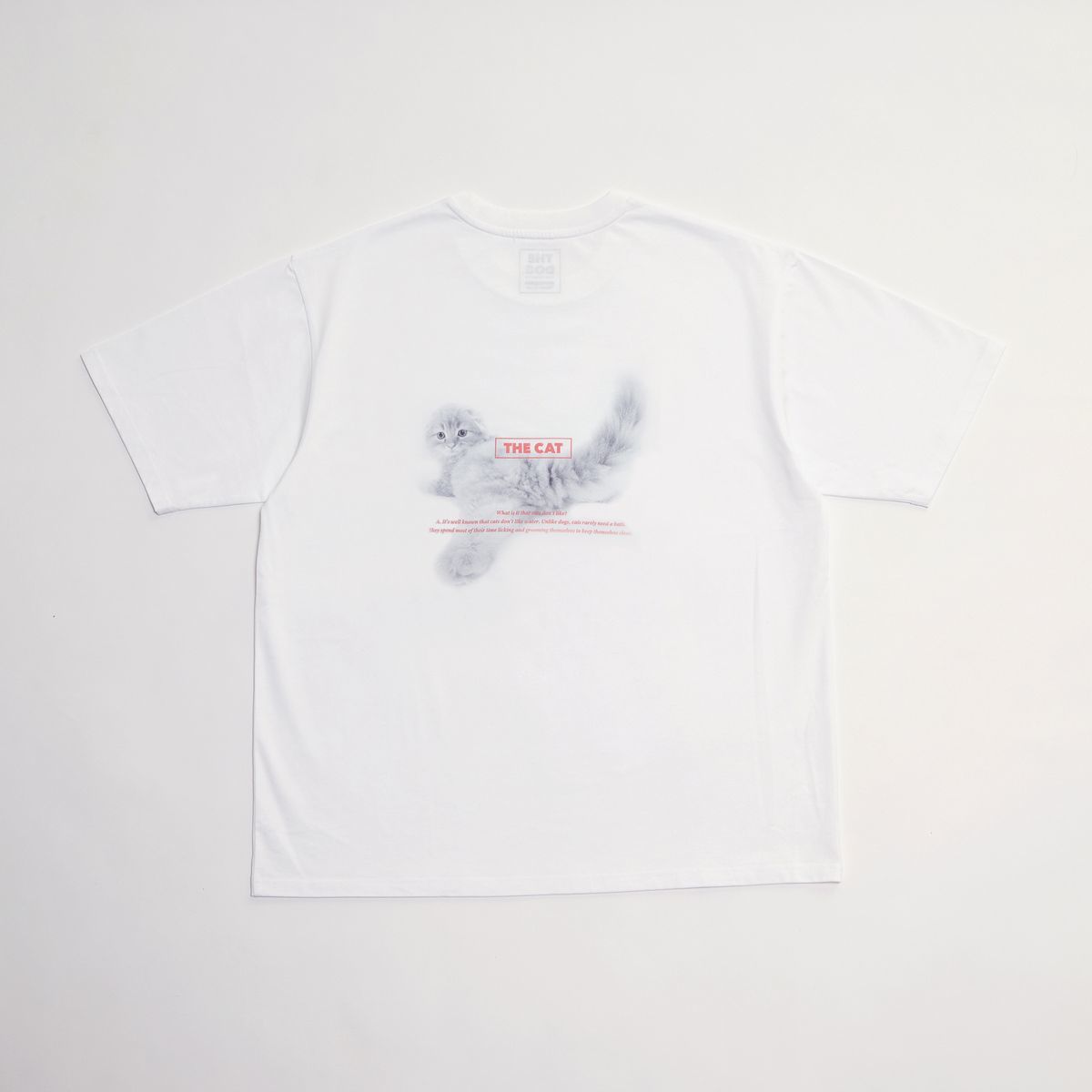 [}C]sʒtyMASTER FRAME/}X^[t[zTHE DOG AND FRIENDS TV/Y[YiMEN'S MELROSEj 06}`C