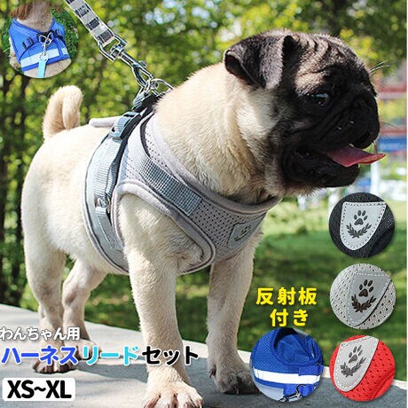 ハーネス 小型犬 中型犬 通販 可愛い 抜けない リード セット お散歩 グッズ ペット用品 胴輪 バックヤードファミリー Backyard Family ファッション通販 マルイウェブチャネル ハーネス 小型犬 中型犬 通販 可愛い 抜けない リード セット お散歩 グッズ ペット用品 胴輪 バックヤードファミリー Backyard Family ファッション通販 マルイウェブチャネル