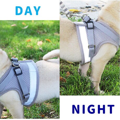 ハーネス 小型犬 中型犬 通販 可愛い 抜けない リード セット お散歩 グッズ ペット用品 胴輪 バックヤードファミリー Backyard Family ファッション通販 マルイウェブチャネル ハーネス 小型犬 中型犬 通販 可愛い 抜けない リード セット お散歩 グッズ ペット用品 胴輪 バックヤードファミリー Backyard Family ファッション通販 マルイウェブチャネル