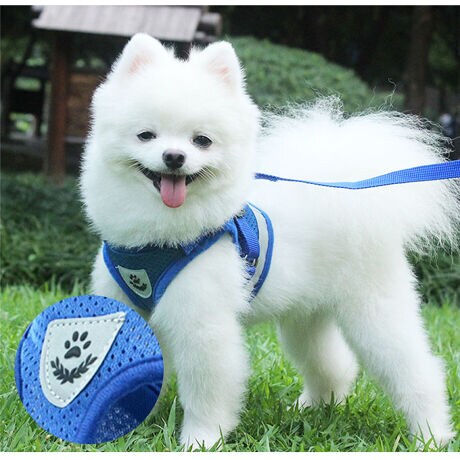 ハーネス 小型犬 中型犬 通販 可愛い 抜けない リード セット お散歩 グッズ ペット用品 胴輪 バックヤードファミリー Backyard Family ファッション通販 マルイウェブチャネル ハーネス 小型犬 中型犬 通販 可愛い 抜けない リード セット お散歩 グッズ ペット用品 胴輪 バックヤードファミリー Backyard Family ファッション通販 マルイウェブチャネル