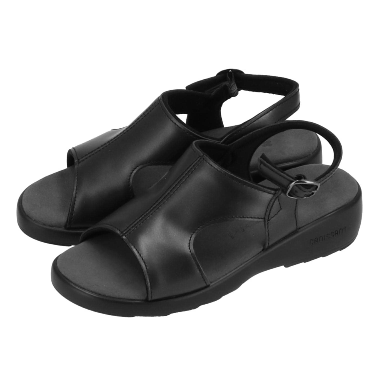 [}C]T_ fB[X ₷ ʔ uh NbT ItBX ₷ RtH[gV/obN[ht@~[iBACKYARD FAMILYj ubN