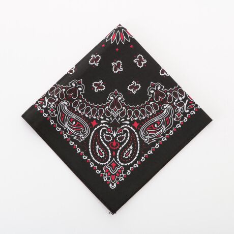 [^:havahan15702300]yuhz HAVAHANK nonNyiz PAISLEY BANDANNAyiznonNAԂ̃yCY[p^[􂨋Cɓ̃obO₨mɍ킹āA̃R[fςƉ؂₩ɁIobÕANZgɁAɂƂ킢AnJ`ƂāIٓ񂾂Ag͎R݂Ŋy߂܂I1Ă邾ŉ؂₮֗1łyiԁzhavahank15702300yJ[zS10F⃌bhlCr[ubNbhubNCp[vTbNXCG[^[RCYo[KfByfށzRbg100yYz AJyTCYz54cm X 54cmTCY͓XuTCYłBۂ̃TCYƑ̌덷ꍇ܂BBydʁz35gyӓ_zJ⃂j^[̐ɂA摜Ǝ̐F̈Ⴂꍇ܂̂ł肢܂