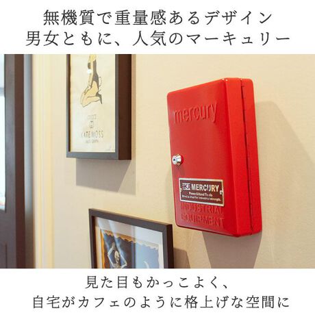 キーボックス 壁掛け おしゃれ 通販 マーキュリー 雑貨 キーキャビネット 鍵付き キーフック キー バックヤードファミリー Backyard Family Mekeca ファッション通販 マルイウェブチャネル