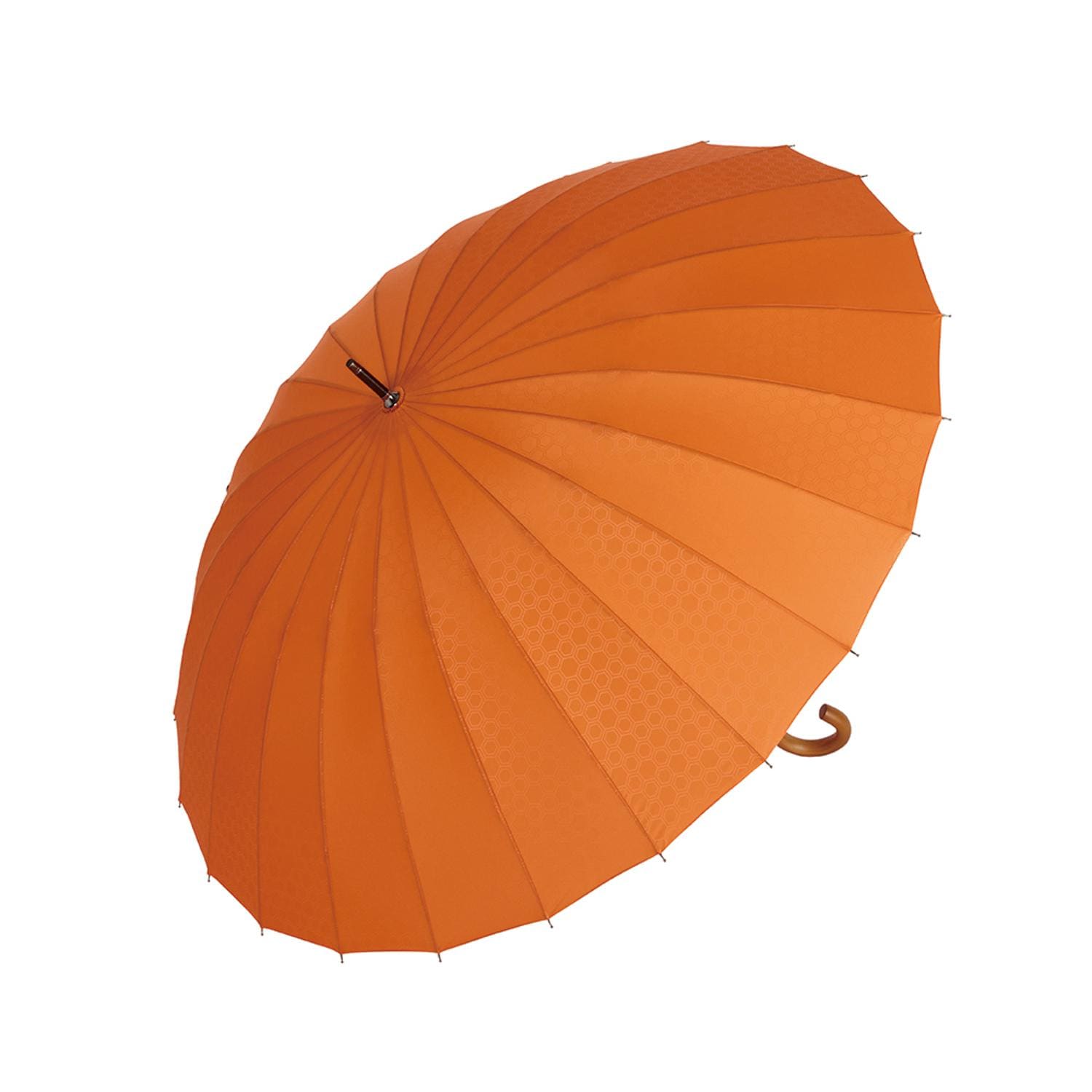 [}C]P Y uh ʔ 傫TCY  v mabu }u 24{ J 蓮 O/obN[ht@~[iBACKYARD FAMILYj O×Tb͗l