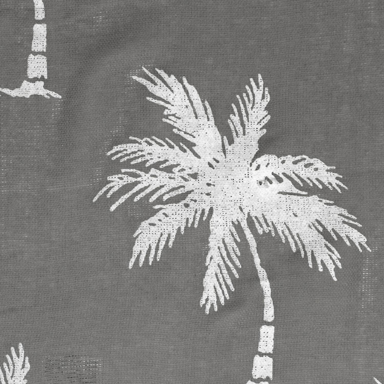 [}C]vg}`Jo[ 150x225/obN[ht@~[iBACKYARD FAMILYj IN046123O[