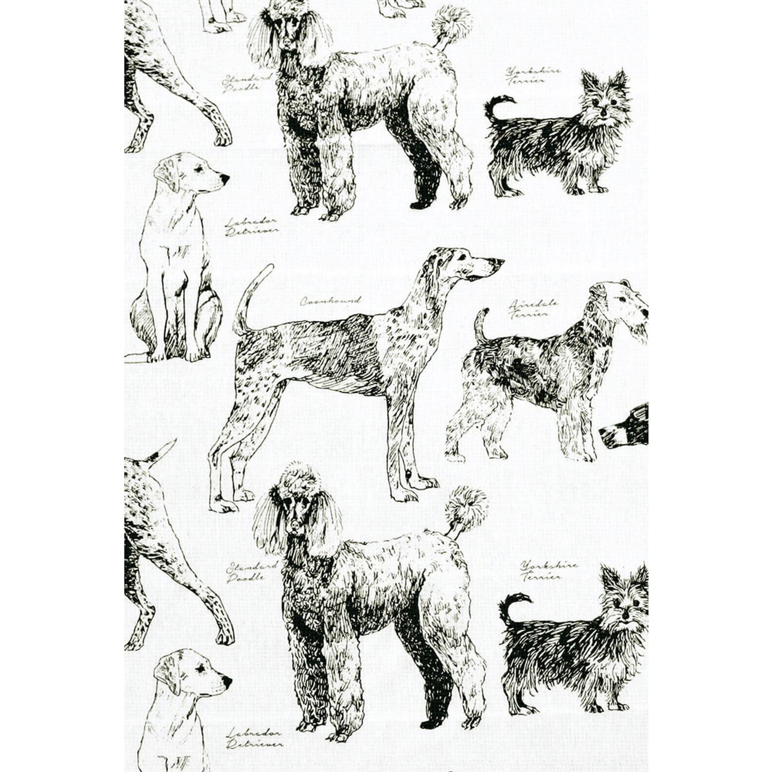 [}C]}`Jo[MONO 150x225/obN[ht@~[iBACKYARD FAMILYj MUCOMODOhbO