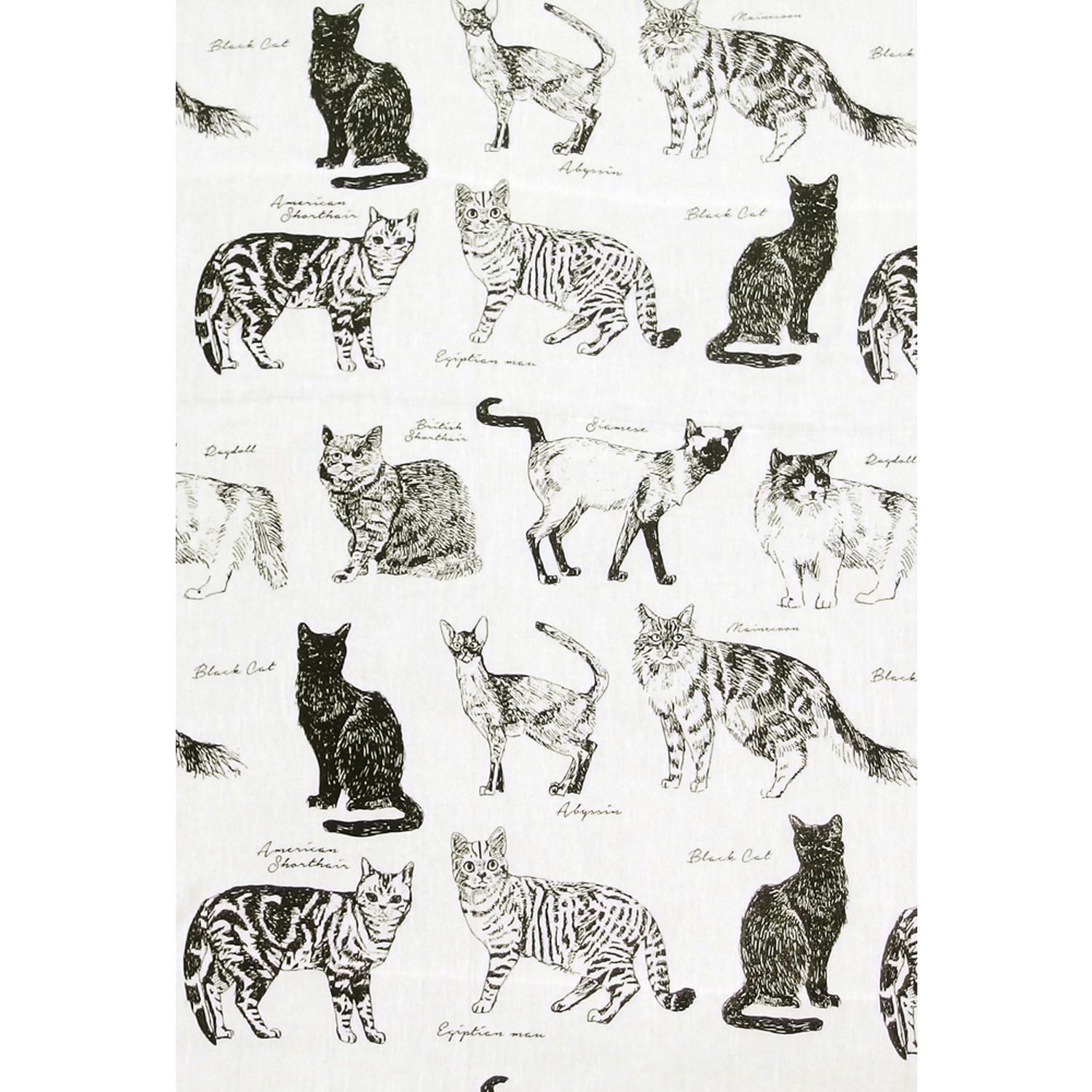 [}C]}`Jo[MONO 150x225/obN[ht@~[iBACKYARD FAMILYj MUCOMOCALbg