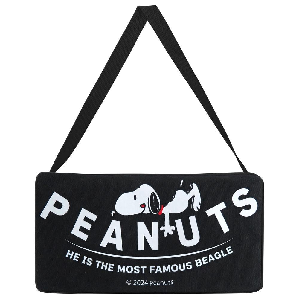 [}C]eBbVP[X Xk[s[ bN}/obN[ht@~[iBACKYARD FAMILYj SN3113.Xk[s[/ubN