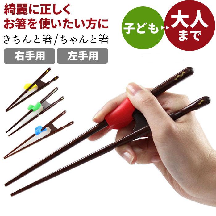 イシダ 矯正箸 通販 大人用 小学生 子供 右利き用 左利き用 ちゃんと箸